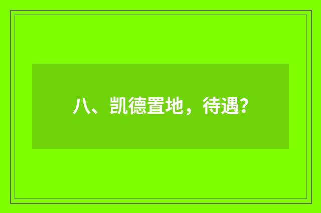 八、凯德置地，待遇？
