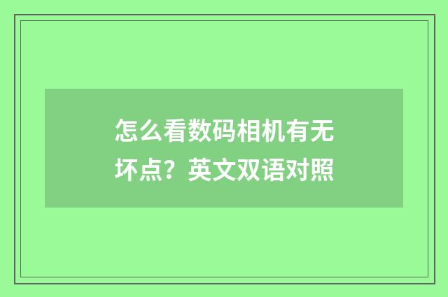怎么看数码相机有无坏点?英文双语对照