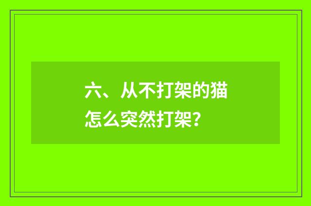 六、从不打架的猫怎么突然打架？