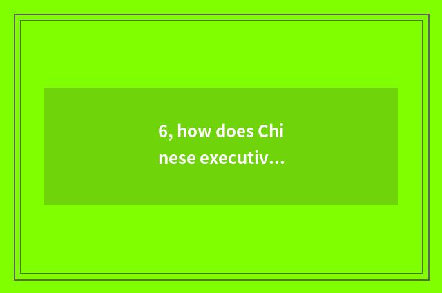 6, how does Chinese executive website inquire?