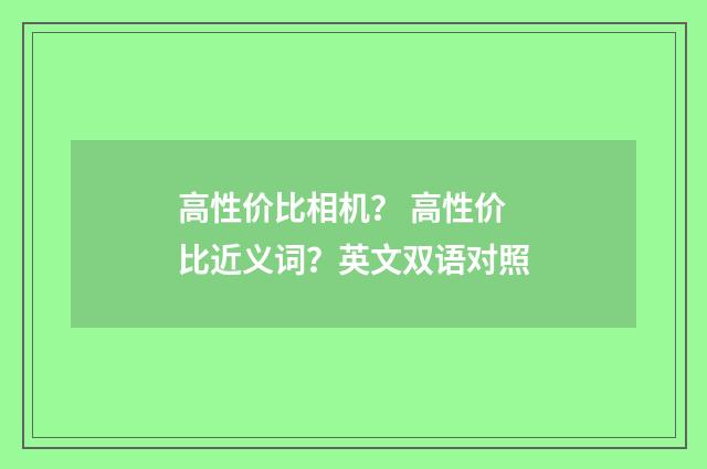 高性价比相机? 高性价比近义词?英文双语对照