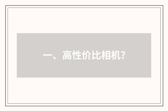 一、高性价比相机?