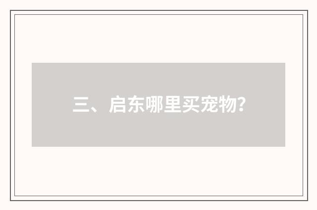 三、启东哪里买宠物?