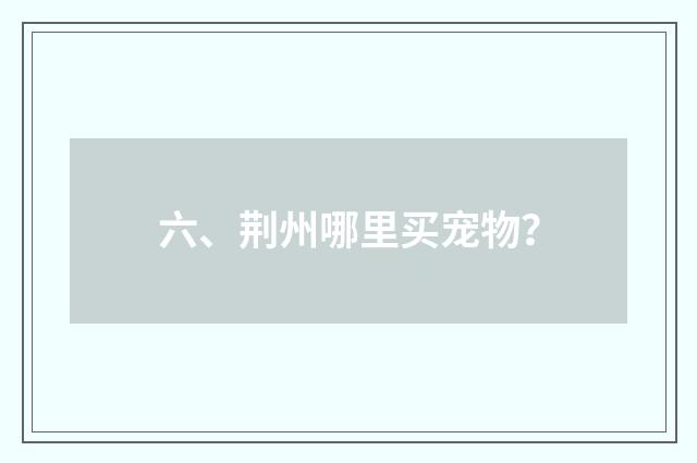 六、荆州哪里买宠物？