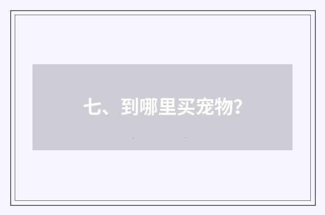 七、到哪里买宠物？