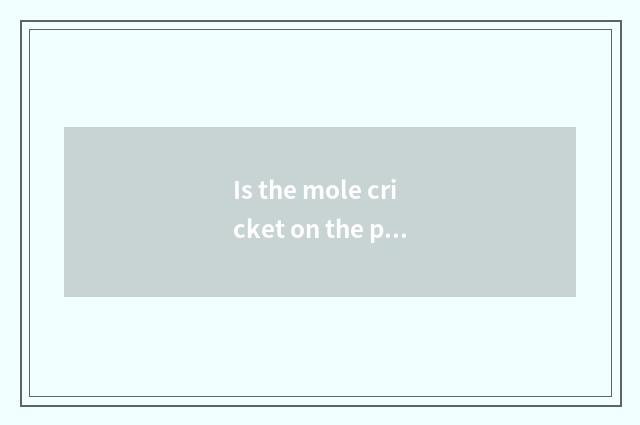 Is the mole cricket on the prairie much?