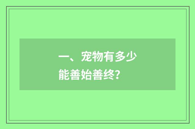 一、宠物有多少能善始善终？