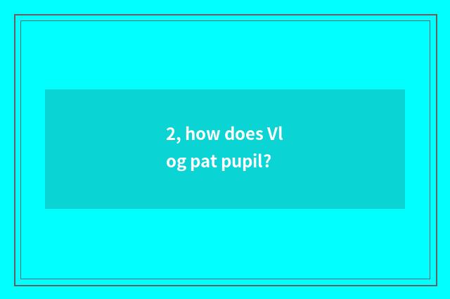 2, how does Vlog pat pupil?
