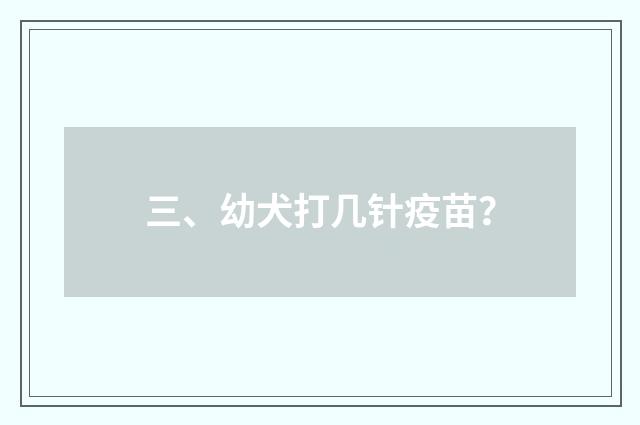 三、幼犬打几针疫苗？