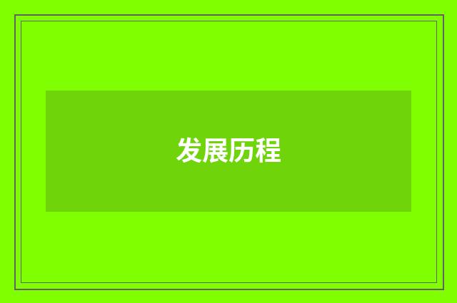 发展历程