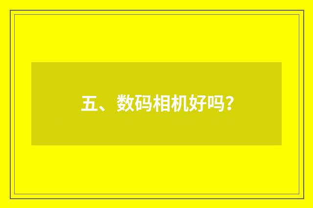 五、数码相机好吗?