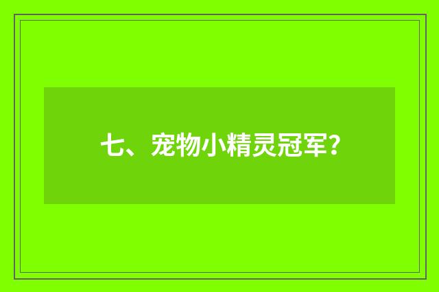 七、宠物小精灵冠军?