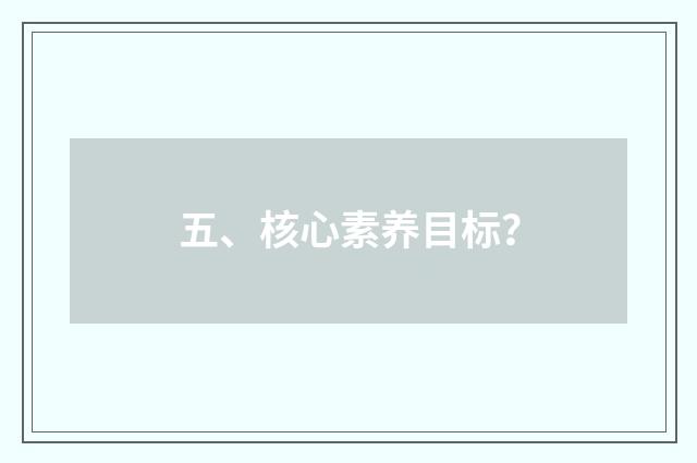 五、核心素养目标？