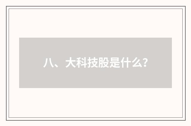 八、大科技股是什么?