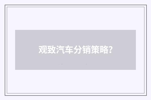 观致汽车分销策略?