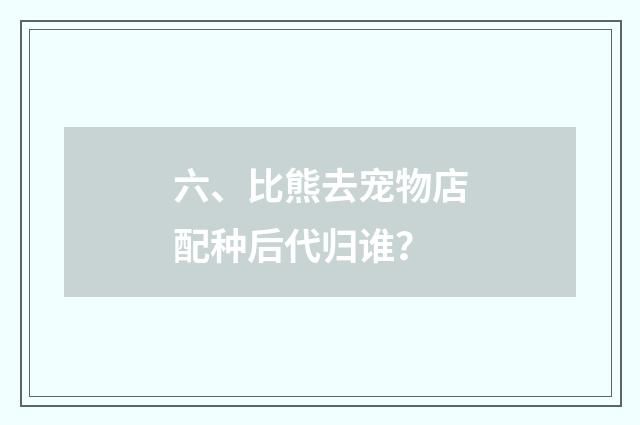 六、比熊去宠物店配种后代归谁?