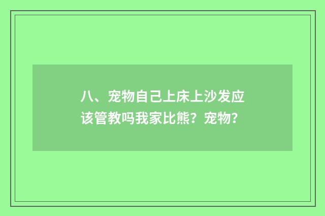 八、宠物自己上床上沙发应该管教吗我家比熊?宠物?