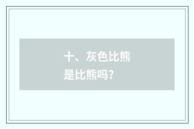 十、灰色比熊是比熊吗?