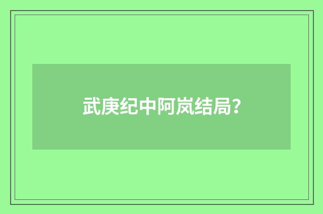 武庚纪中阿岚结局？