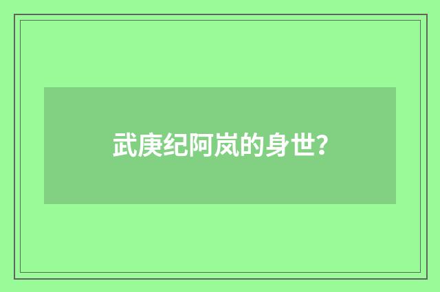 武庚纪阿岚的身世?