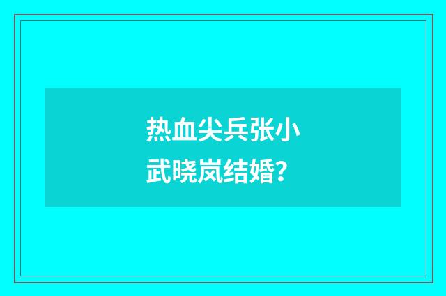 热血尖兵张小武晓岚结婚?