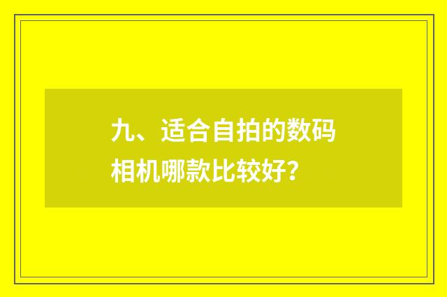 九、适合自拍的数码相机哪款比较好?