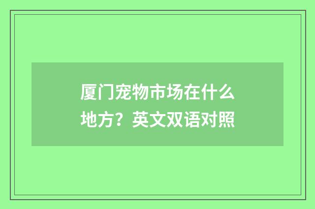 厦门宠物市场在什么地方?英文双语对照