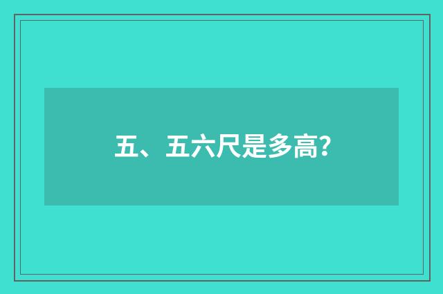 五、五六尺是多高?