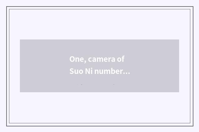 One, camera of Suo Ni number, computer connection?