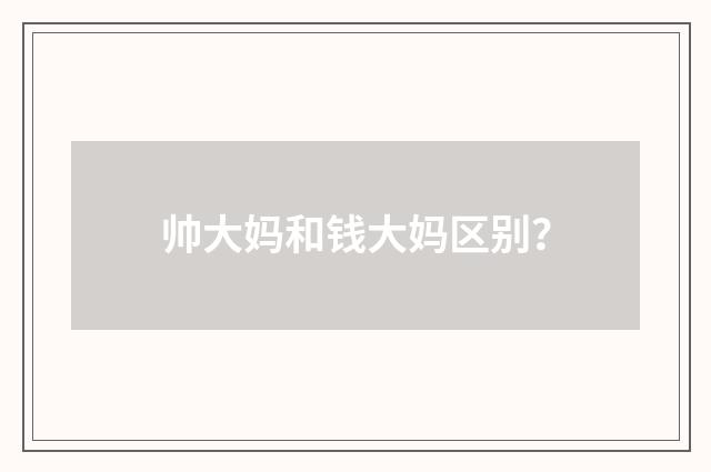 帅大妈和钱大妈区别？