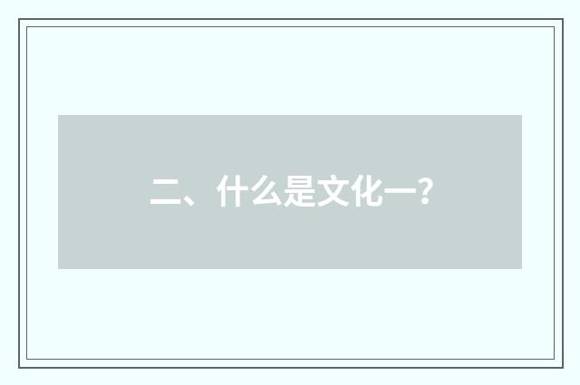 二、什么是文化一？