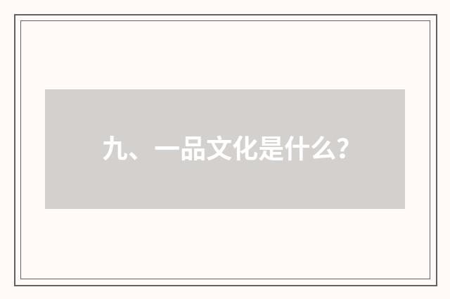 九、一品文化是什么?