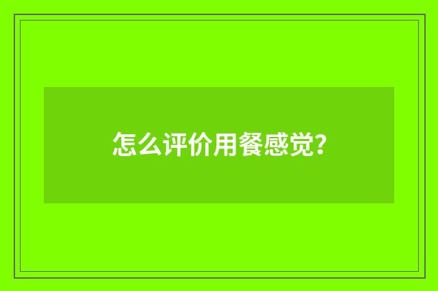 怎么评价用餐感觉?