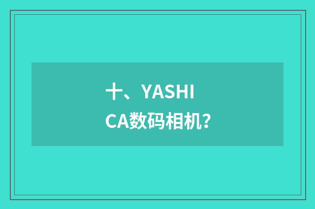 十、YASHICA数码相机？