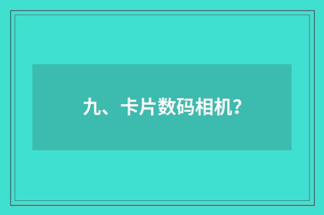九、卡片数码相机？