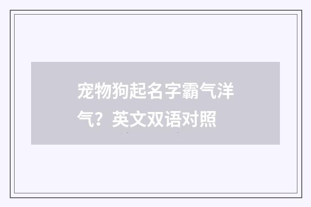 宠物狗起名字霸气洋气?英文双语对照