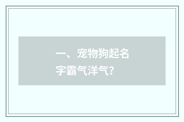 一、宠物狗起名字霸气洋气？