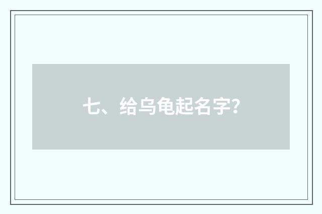 七、给乌龟起名字？