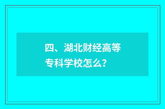 四、湖北财经高等专科学校怎么?