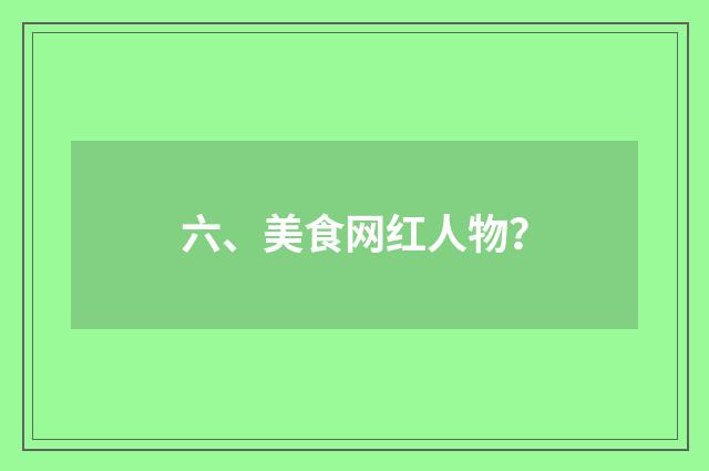 六、美食网红人物？