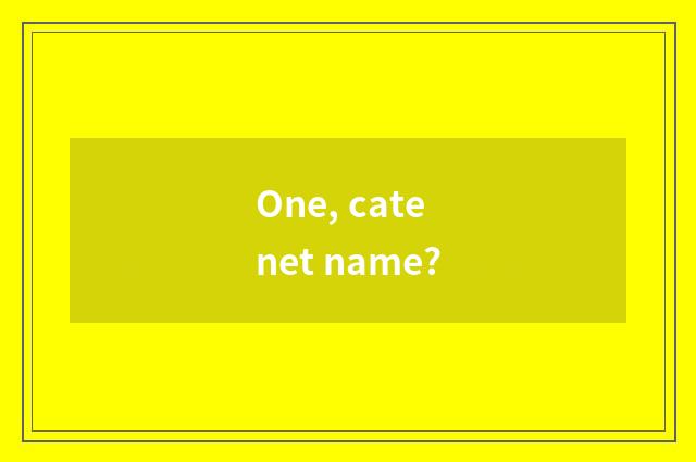 One, cate net name?