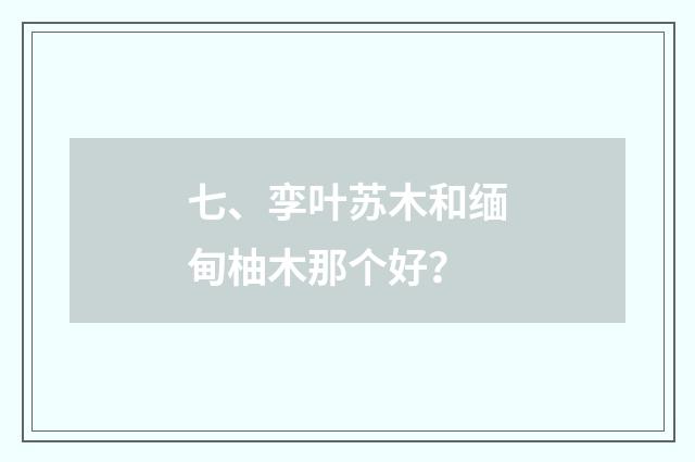 七、孪叶苏木和缅甸柚木那个好?
