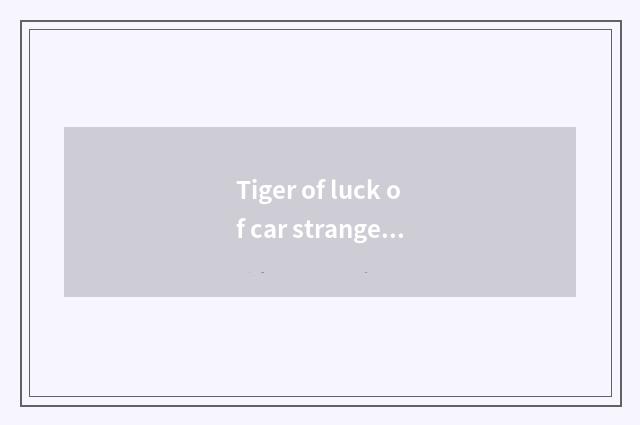 Tiger of luck of car strange luck 8 when how long is leather belt changed?