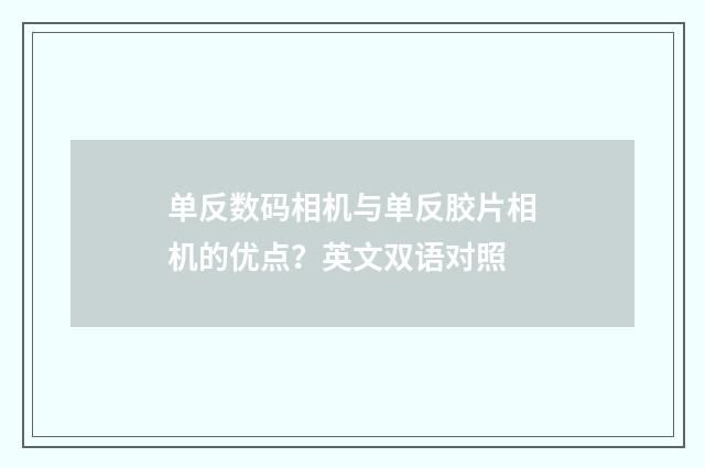 单反数码相机与单反胶片相机的优点？英文双语对照
