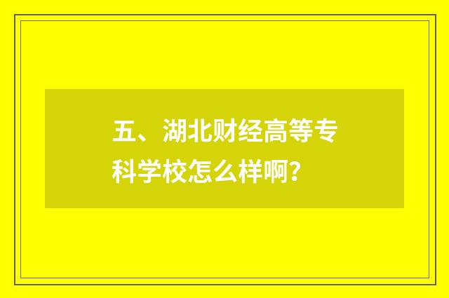 五、湖北财经高等专科学校怎么样啊?