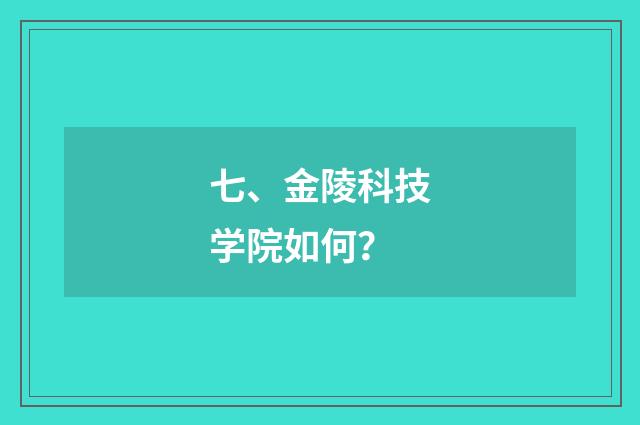 七、金陵科技学院如何?