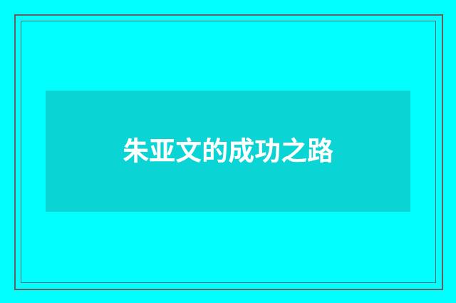 朱亚文的成功之路