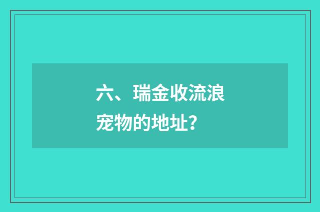 六、瑞金收流浪宠物的地址？