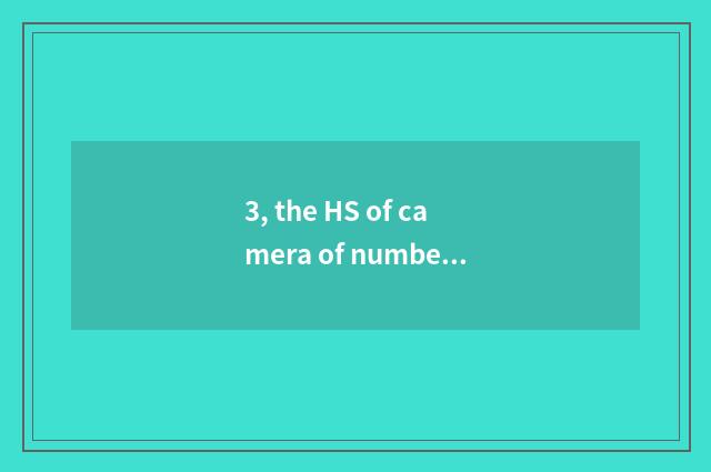 3, the HS of camera of number of Ni Kang P500?