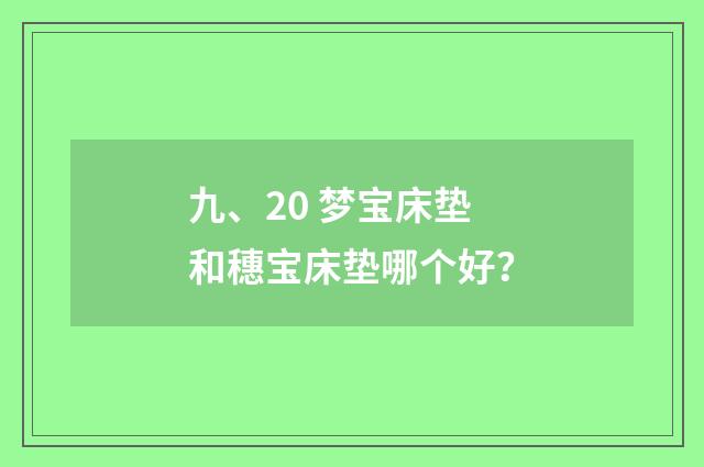 九、20 梦宝床垫和穗宝床垫哪个好？